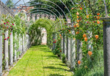Sabato 4 e domenica 5 giugno “Appuntamento In Giardino” a Vicenza e a Verona con le Dimore Amiche Del Veneto Appuntamento In Giardino: Castello di Thiene