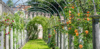 Sabato 4 e domenica 5 giugno “Appuntamento In Giardino” a Vicenza e a Verona con le Dimore Amiche Del Veneto Appuntamento In Giardino: Castello di Thiene