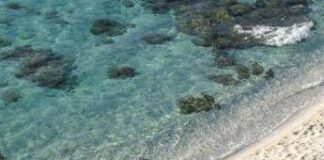 Acque di balneazione, oltre 5mila km di litorale eccellente in Italia
