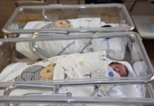 Ospedale di Santorso, 11 nati a Natale: tutti bene Leonardo, Alba, Sofia, Elena, Jasmine, Ayla, Nicolò, Lucio, Filippo e gemelli Luca e Lara Neonati, nati nell'Ospedale di Santorso
