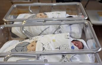 Ospedale di Santorso, 11 nati a Natale: tutti bene Leonardo, Alba, Sofia, Elena, Jasmine, Ayla, Nicolò, Lucio, Filippo e gemelli Luca e Lara Neonati, nati nell'Ospedale di Santorso