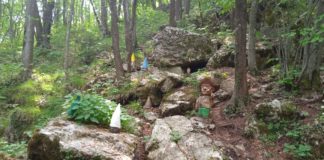 A Bosco di Tretto (Schio) un sentiero di fiaba incanta con sculture di legno, gnomi e leggende bosco di tretto