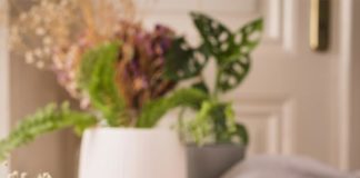 A Padova Dadi Home, il B&B gestito da persone con disabilità dadi home