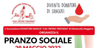 Donatori di sangue, rinnovo delle cariche e pranzo sociale per l’associazione Trevisan Donatori Sangue trevisan