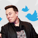 Musk farà tornare Trump su Twitter Elon Musk e Twitter