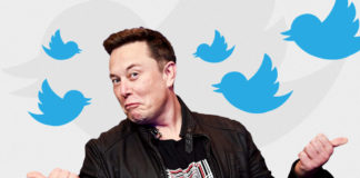 Musk farà tornare Trump su Twitter Elon Musk e Twitter