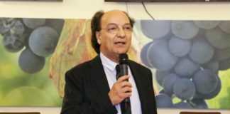 Caso Sara Pinna e offese a bambino del Cosenza: pres. Guarascio: “Vieni in vacanza in Calabria, mia ospite” sara pinna guarascio