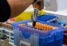 Fegato, un test per scoprire il rischio di gravi malattie entro 10 anni: lo studio