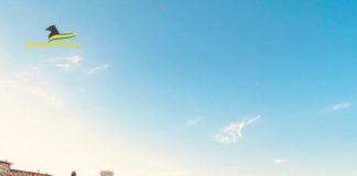 Evasione fiscale, Fiamme gialle bassanesi scoprono agente di commercio evasore totale per oltre 300 mila euro evasione fiscale