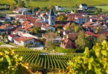 Champagne e Cava, metodo classico al Wine Lab con “Wine Specialists Journal” La Champagne in Francia, credits marcopoloTV