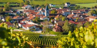 Champagne e Cava, metodo classico al Wine Lab con “Wine Specialists Journal” La Champagne in Francia, credits marcopoloTV