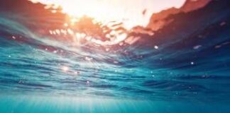 Marzo 2026 il quarto più caldo, temperature del mare quasi record