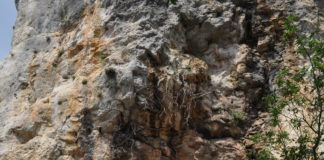 22 maggio 1510, eccidio di Mossano: i nemici della Serenissima massacrano oltre 1.000 persone Mossano