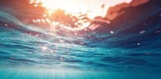 Oceani, aumenta la desertificazione a causa del cambiamento climatico