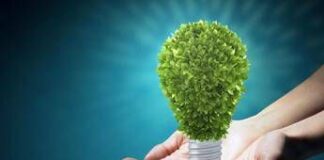 ‘Our Power, Our Planet’, il tema della Giornata della Terra 2025