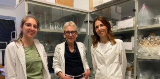 ASAcampus con ASA Srl di Arcugnano (Vi) nuovamente coinvolto in un esperimento che si svolgerà sulla Stazione Spaziale Internazionale asa arcugnano