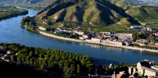 Vini della Valle del Rodano e della Linguadoca. “Wine Specialists Journal”: vini con grande carattere Valle del Rodano, Vigneti, credits france.fr