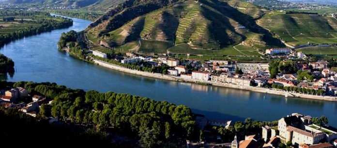 Valle del Rodano, Vigneti, credits france.fr