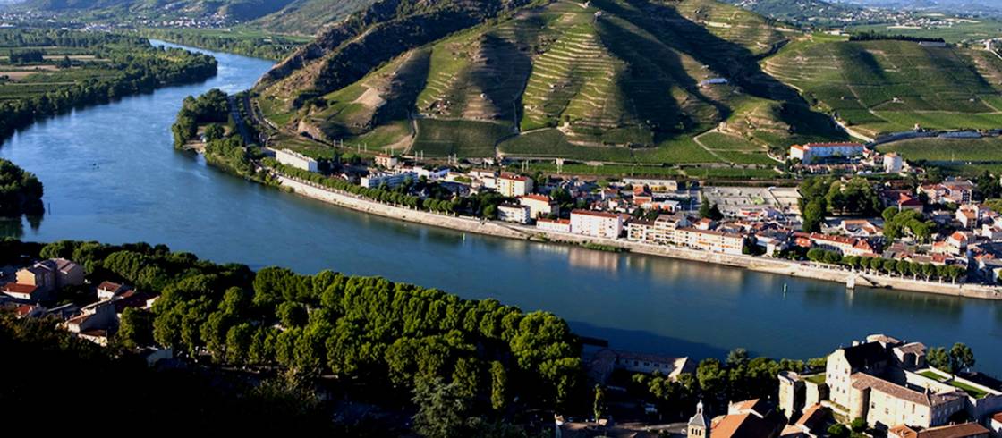 Valle del Rodano, Vigneti, credits france.fr
