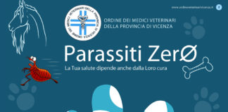 Veterinari Vicenza, al via la campagna di informazione Parassiti Zero veterinari vicenza
