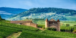 Vini francesi della Borgogna e della Provenza: “Wine Specialists Journal: Chassagne-Montrachet e By.Ott Vini francesi, Borgogna, credits franciaturismo.net