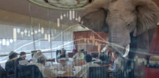 L’elefante nella stanza della finanza