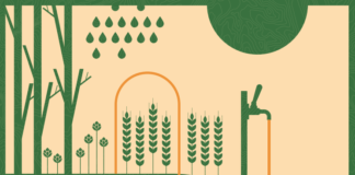 Quinto Vicentino, 13 birrifici veneti in 1 Territorio: dal 3 al 5 giugno 2022 il Festival della Birra artigianale locale birrifici veneti