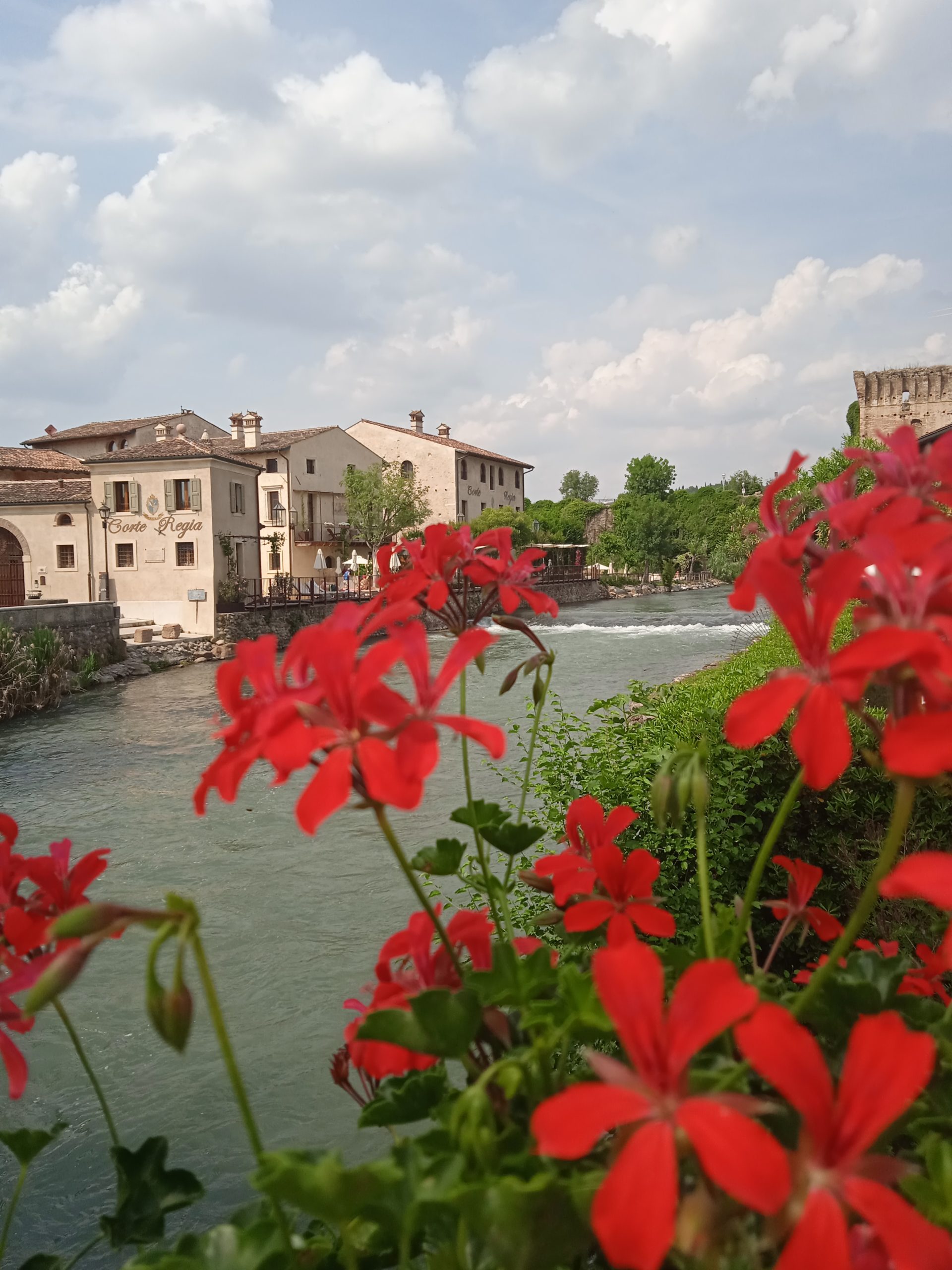 colori fiori borghetto