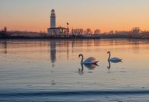 L’Isola dell’Amore di Goro (Ferrara), una gita tra natura selvaggia e spiagge incontaminate Goro, isola dell'amore