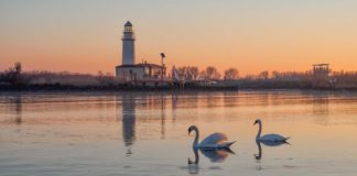 L’Isola dell’Amore di Goro (Ferrara), una gita tra natura selvaggia e spiagge incontaminate Goro, isola dell'amore