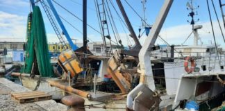 Associazioni di categoria e sindacati insieme a sostegno dei pescatori veneti e italiani carta ittica veneto