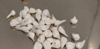 Controlli antidroga a Vicenza, un denunciato per spaccio “drug and drive” in via Faccio