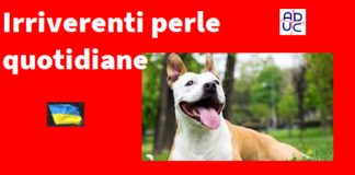 Aduc. Irriverenti perle quotidiane