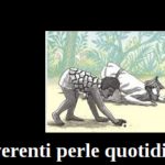 Irriverenti perle quotidiane