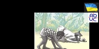 Irriverenti perle quotidiane