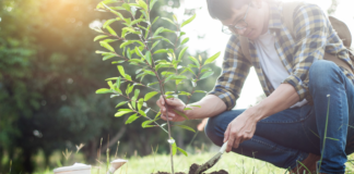 Incontro di Legambiente a Schio: “Stop consumo del suolo” piantare alberi suolo schio verde vicenza