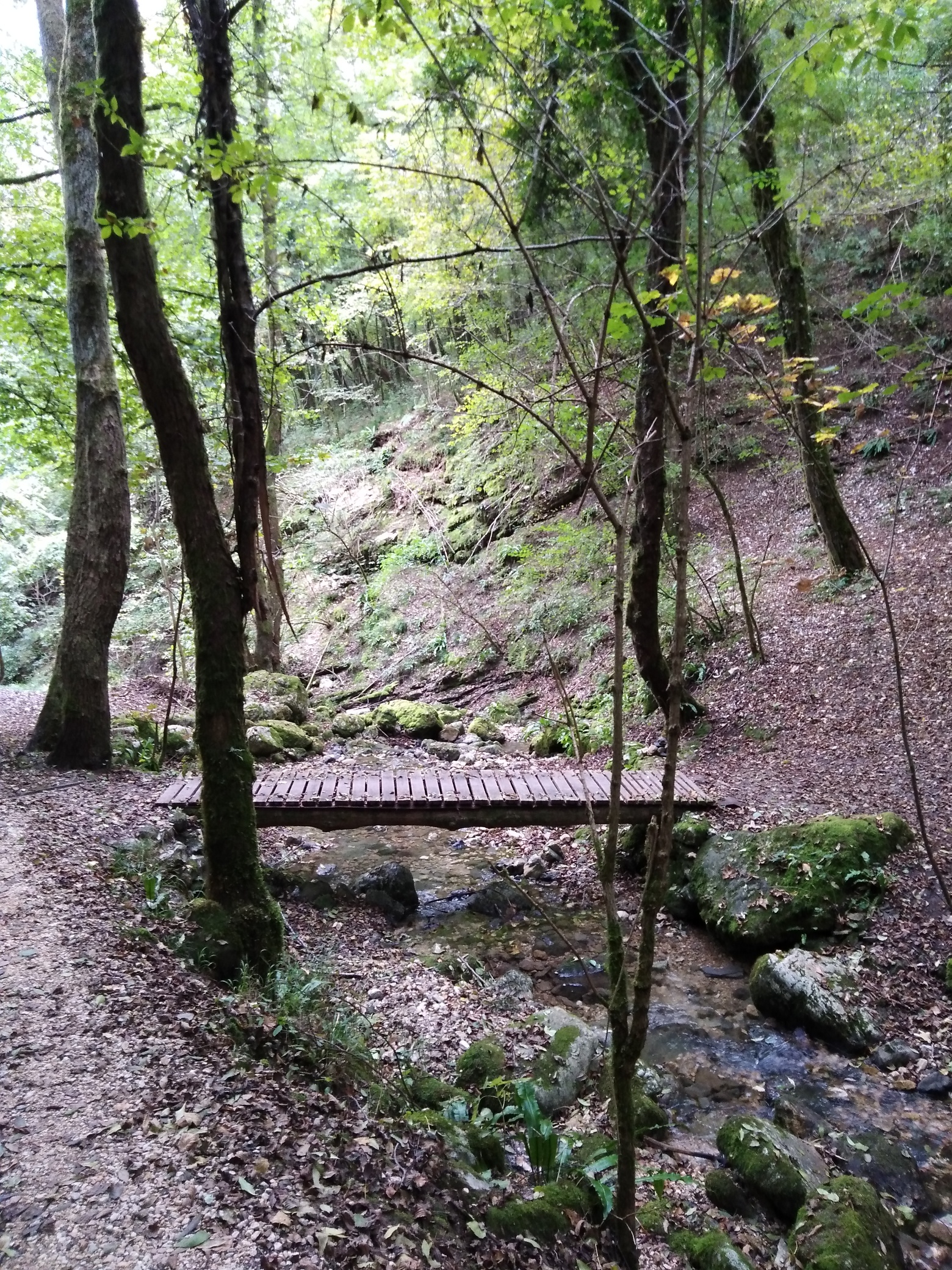 ponticello torrente