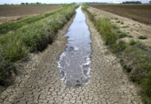 Confagricoltura Veneto: 4,8 Mln euro per la siccità non bastano. E serve un commissario per il Delta del Po Crisi idrica, siccità veneto viacqua confagricoltura