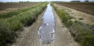 Viacqua in pressing sulla siccità: azioni rivolte a garantire la continuità del servizio Crisi idrica, siccità veneto viacqua confagricoltura