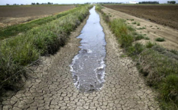 Veneto: si aggravano siccità e meteo. Il caldo resiste, ma arrivano i temporali Crisi idrica, siccità veneto viacqua confagricoltura