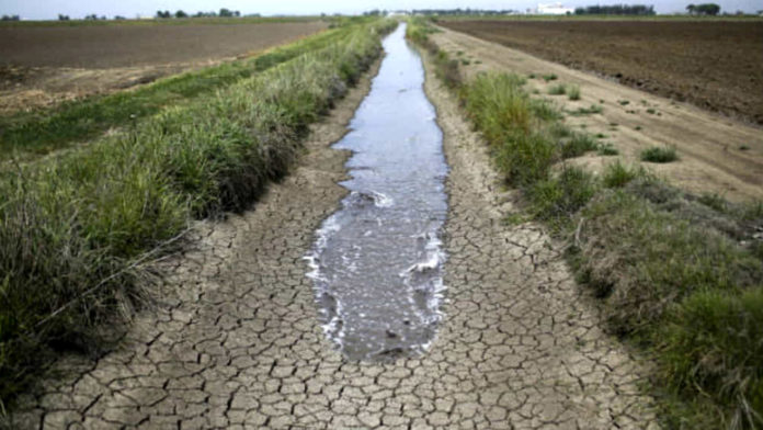 Crisi idrica, siccità veneto viacqua confagricoltura