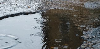 Codici Foggia: città nel degrado e nell’abbandono, dal Comune più fatti che parole