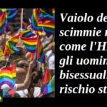Vaiolo delle scimmie non è come l’HIV, Aduc: ma gli uomini gay e bisessuali sono a rischio stigma