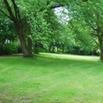 Giornata Ambiente. Vademecum dell’Ordine degli agronomi e forestali per la gestione del verde pubblico e privato Giornata Ambiente