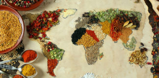 Iniziative CNDDU per la Giornata internazionale della gastronomia sostenibile del 18 giugno 2022 Giornata internazionale della gastronomia sostenibile