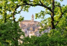 Vignanello nella Tuscia viterbese è Divino Music Festival dall’11 al 17 luglio Vignanello nella Tuscia viterbese è Divino Music Festival