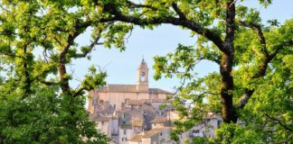 Vignanello nella Tuscia viterbese è Divino Music Festival dall’11 al 17 luglio Vignanello nella Tuscia viterbese è Divino Music Festival