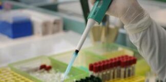 Cancro pancreas, nuove speranze di cura da terapia combinata