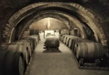 Enotour Cantine del Notaio: “Wine Specialists Journal”. Esperienze emozionali all’Aglianico del Vulture Cantine del Notaio, Bottaia di affinamento in grotta