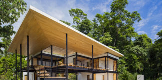 6 idee per rendere la casa green Casa green